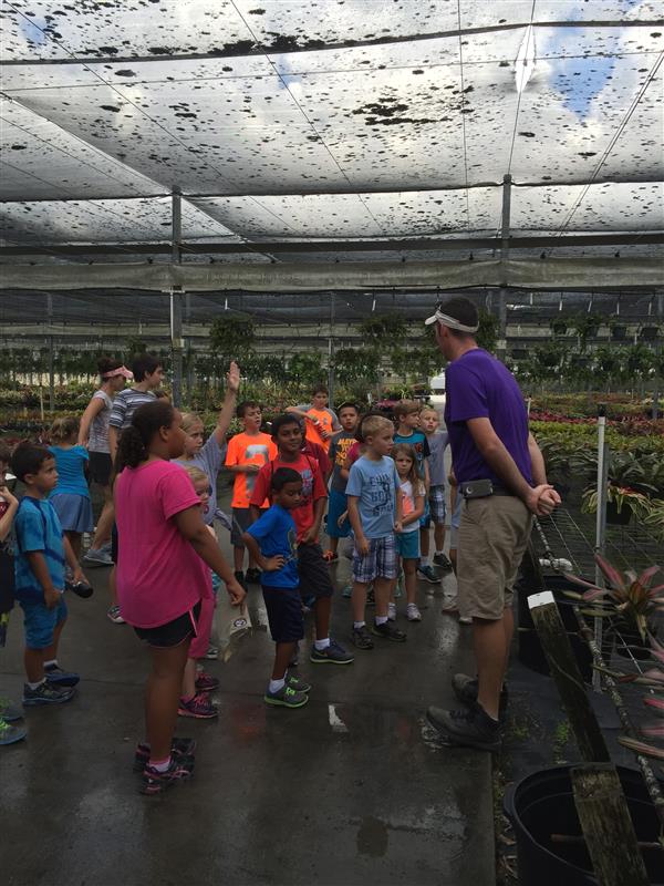 students visit greenhouse full of tropical plants